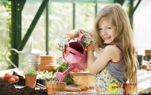 Ҫ�뱦�����������������ȵ�֪��ʲô�������ڣ�ץס�˲����°빦