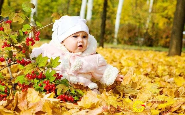 0~1��ı�������ô����΢��Ԫ��