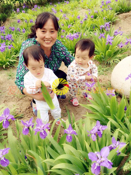 北京育儿嫂,北京保姆,北京家政,北京月嫂,北京育婴师