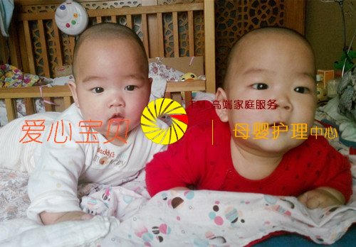 ˫��̥������ɰ�ѽ