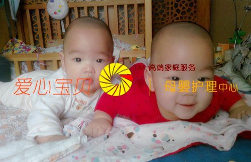 ˫��̥������ɰ�ѽ