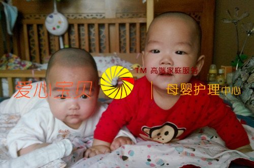 ����˫��̥������ɰ�ѽ