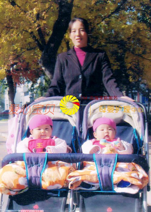 ˫��̥��ɰ������������ı���רҵ������ķ�����޴���˫��̥