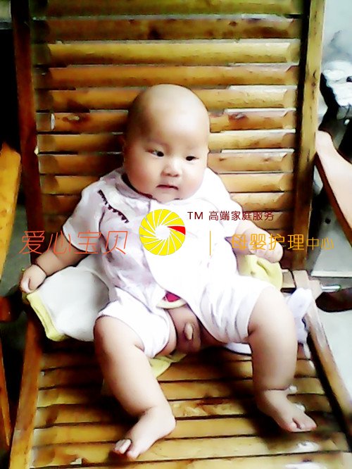 ���ı������Ҹ�������