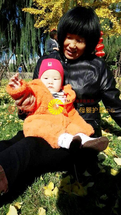 ����һ���ɰ���С�������������ı�����������˾���Ʊ�ķ�����