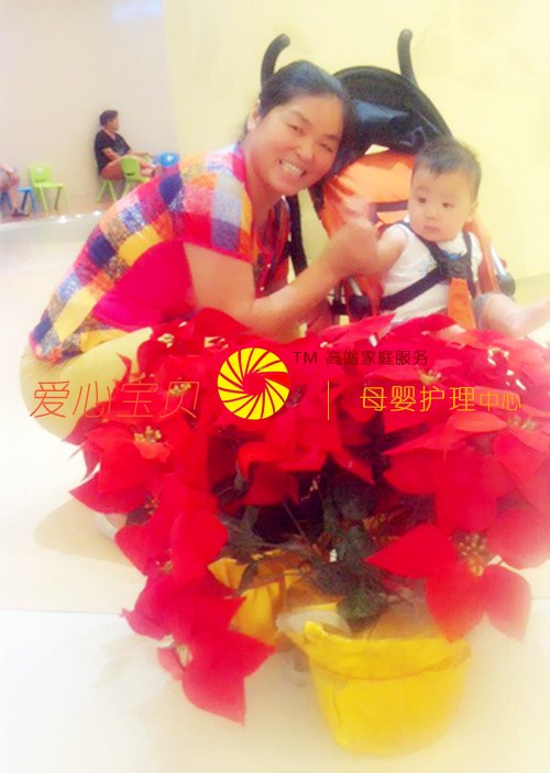 北京保姆网,北京住家保姆,北京家政公司