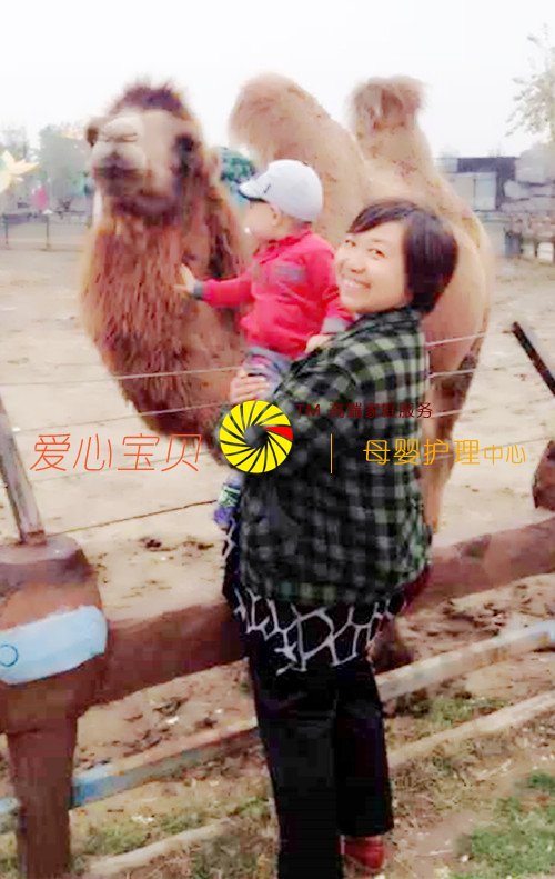 ����������˾