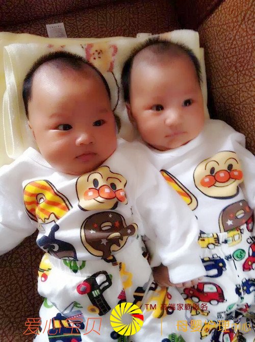 ������˫��̥����