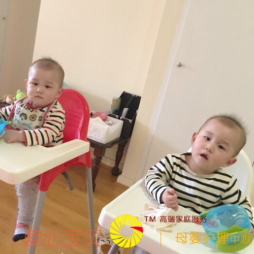 ˫��̥������ɰ�